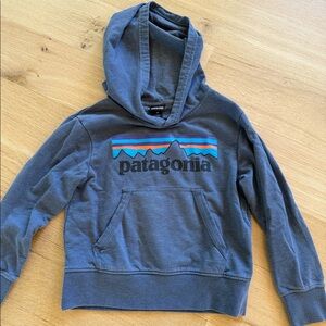 Patagonia Hooded Sweatshirt- XS